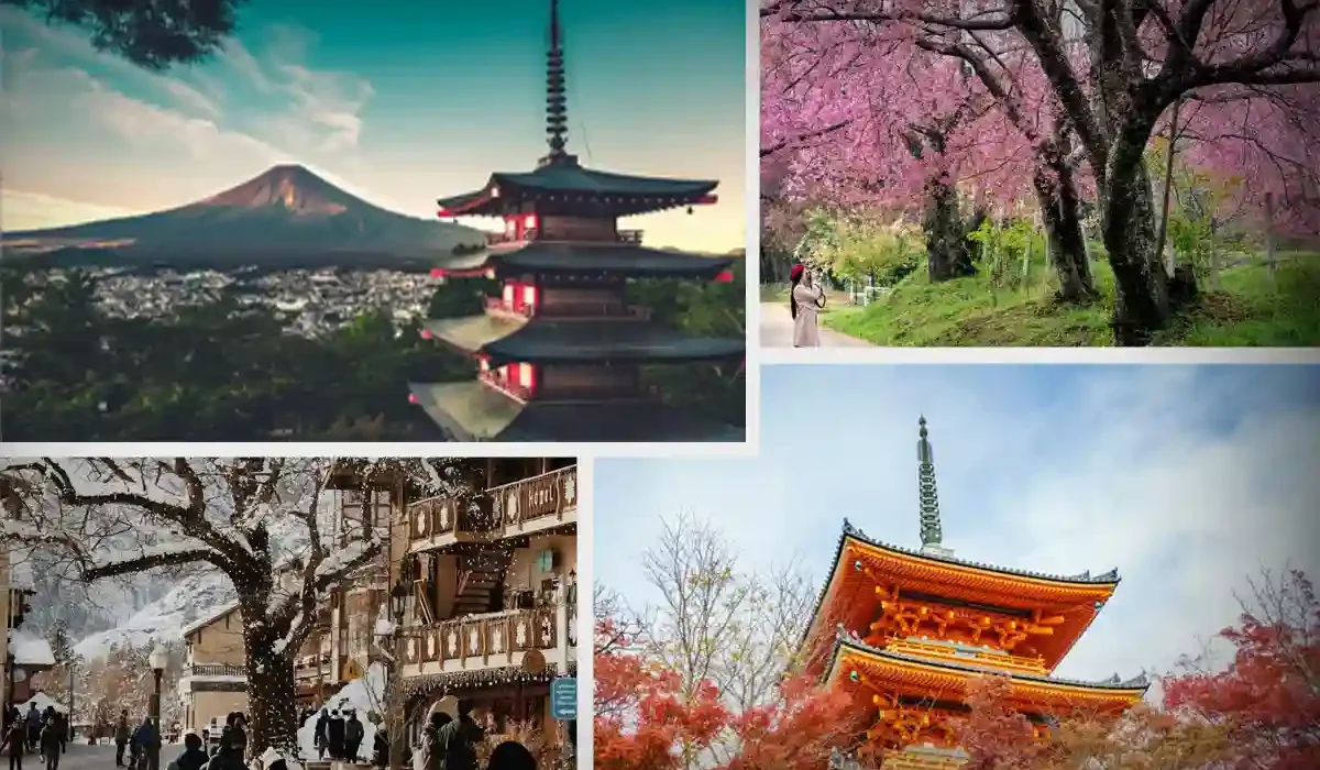 Best Time to Visit Japan: A Complete Seasonal Guide for First-Time Travelers